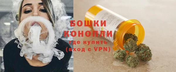 2c-b Горняк
