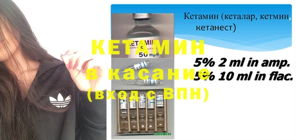 прущие грибы Горнозаводск