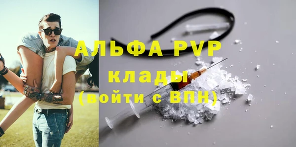 прущие грибы Горнозаводск