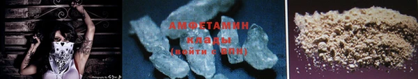 прущие грибы Горнозаводск