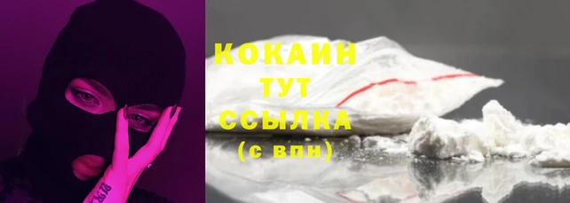 мяу мяу мука Горно-Алтайск