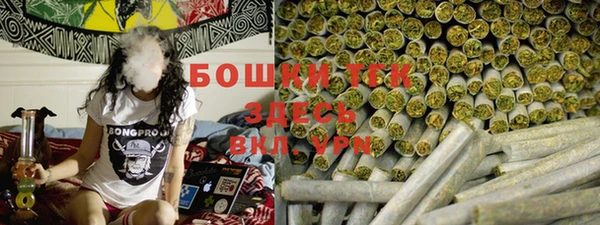 мяу мяу мука Горно-Алтайск