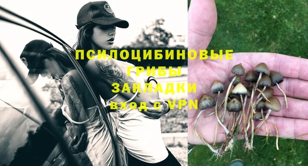 мяу мяу мука Горно-Алтайск