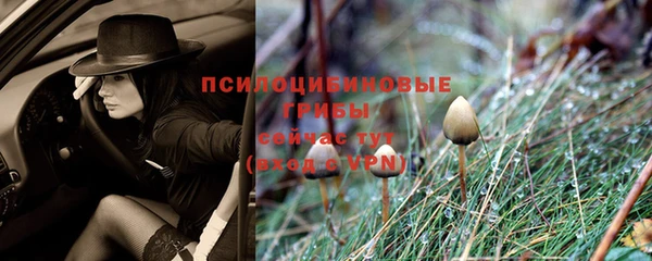 2c-b Горняк