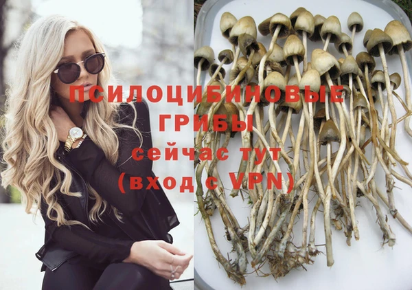 2c-b Горняк