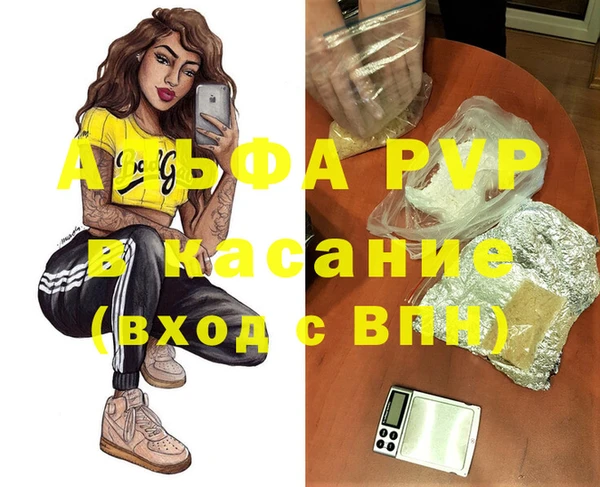 прущие грибы Горнозаводск