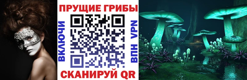 купить наркоту  Мценск  Псилоцибиновые грибы мицелий 